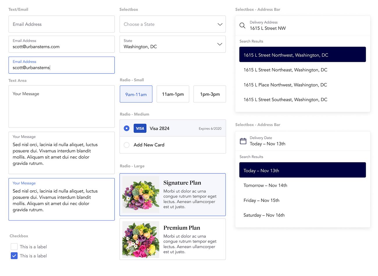 Design system form fields